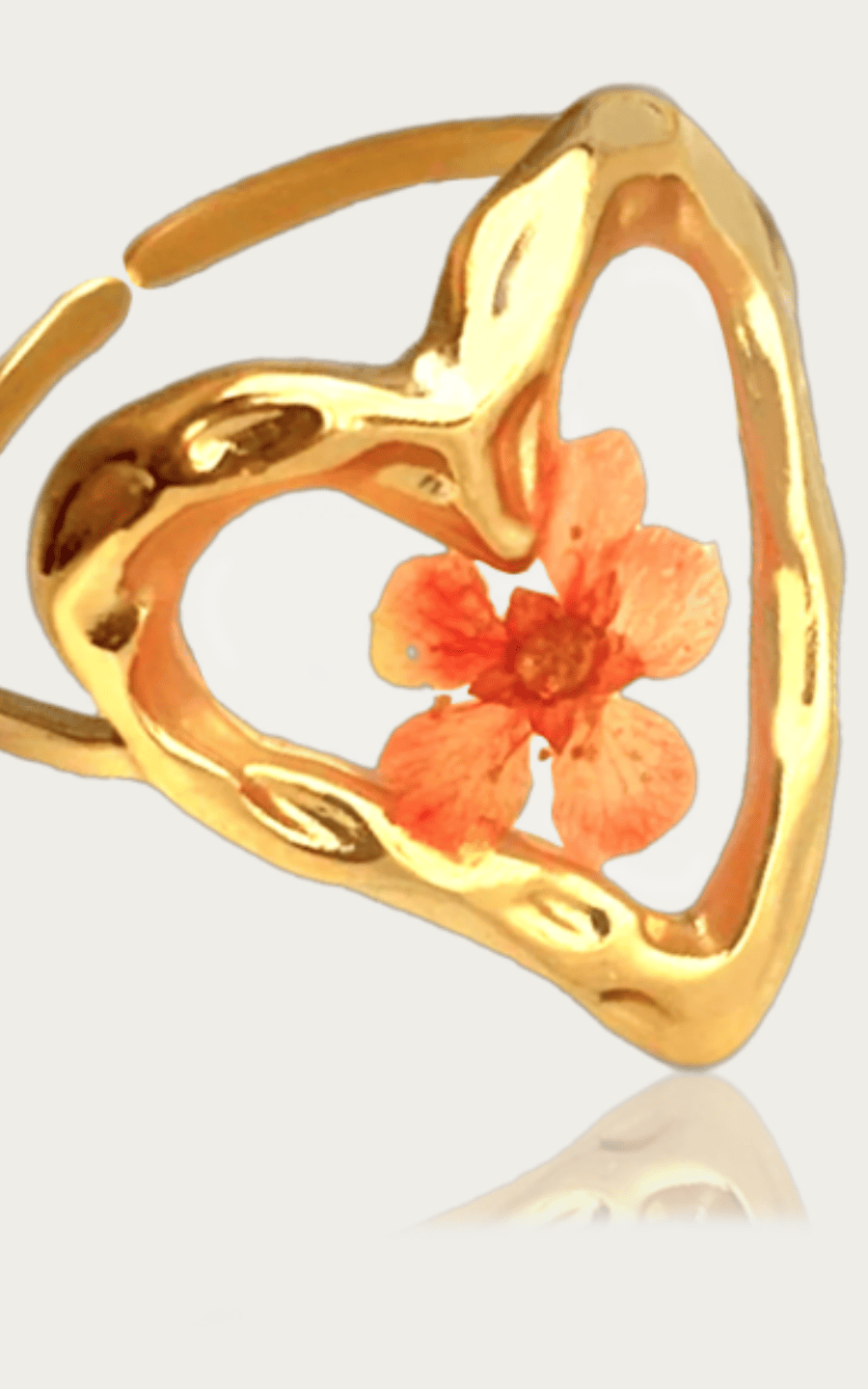 ANILLO ETERNAL | LALA NASTY